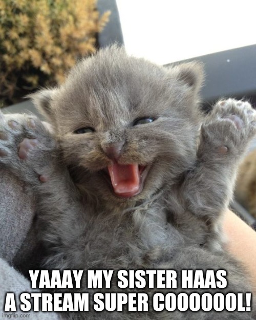 Yay Kitty | YAAAY MY SISTER HAAS A STREAM SUPER COOOOOOL! | made w/ Imgflip meme maker