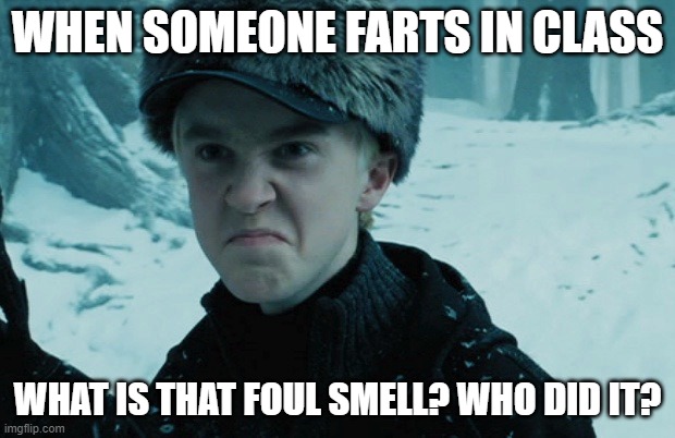 Draco Malfoy | WHEN SOMEONE FARTS IN CLASS; WHAT IS THAT FOUL SMELL? WHO DID IT? | image tagged in draco malfoy | made w/ Imgflip meme maker