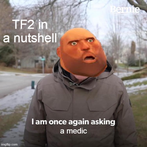 Heavy in a nutshell | TF2 in a nutshell; a medic | image tagged in memes,bernie i am once again asking for your support | made w/ Imgflip meme maker