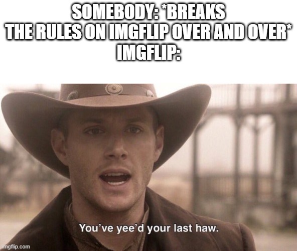 always follow the rules | SOMEBODY: *BREAKS THE RULES ON IMGFLIP OVER AND OVER*
IMGFLIP: | image tagged in you've yee'd your last haw,imgflip,troll,rule breaker,banned,yes these are tags | made w/ Imgflip meme maker