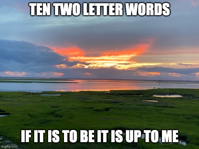 TEN TWO LETTER WORDS | TEN TWO LETTER WORDS; IF IT IS TO BE IT IS UP TO ME | image tagged in motivation | made w/ Imgflip meme maker