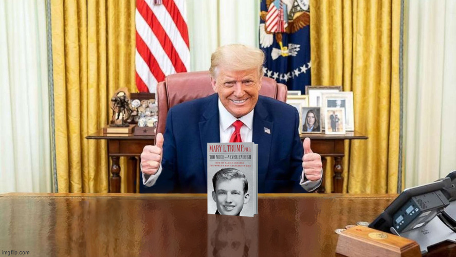 Proud Uncle Donald | image tagged in mary trump's book,donald trump,goya,thumbs up | made w/ Imgflip meme maker