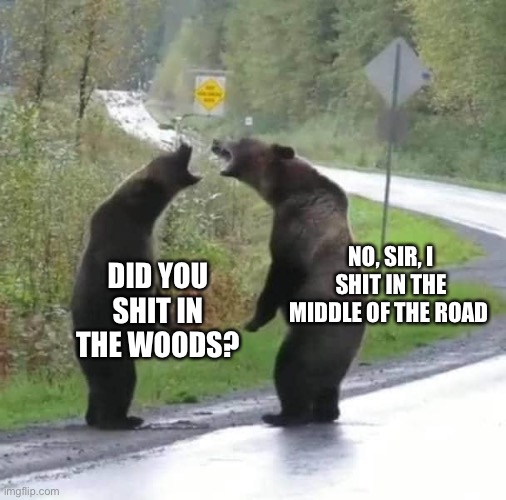 Bears | NO, SIR, I SHIT IN THE MIDDLE OF THE ROAD; DID YOU SHIT IN THE WOODS? | image tagged in bears | made w/ Imgflip meme maker