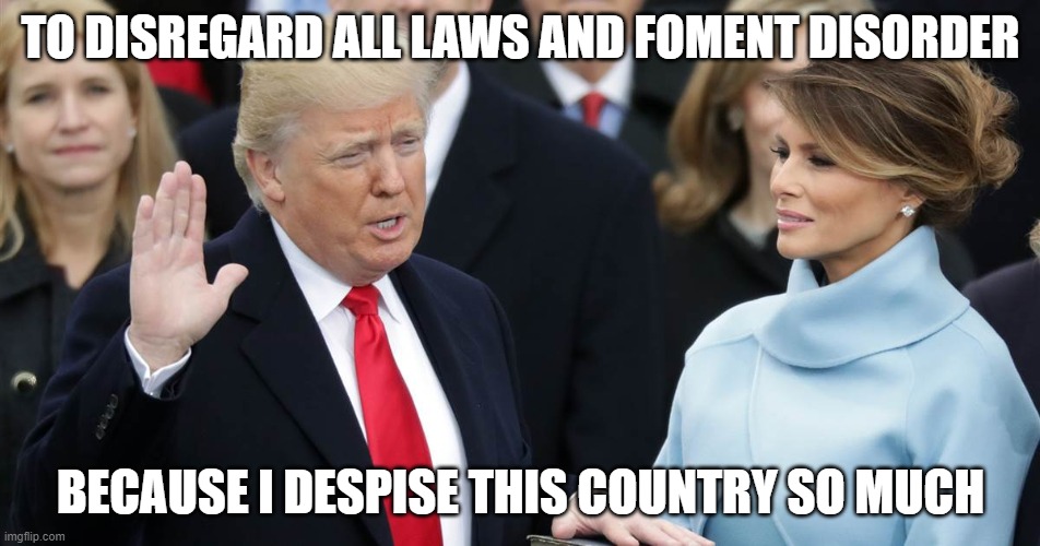 Trump disorder | TO DISREGARD ALL LAWS AND FOMENT DISORDER; BECAUSE I DESPISE THIS COUNTRY SO MUCH | image tagged in trump disorder | made w/ Imgflip meme maker
