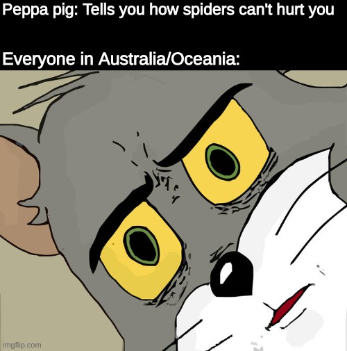 Unsettled Tom Meme | Peppa pig: Tells you how spiders can't hurt you; Everyone in Australia/Oceania: | image tagged in memes,unsettled tom | made w/ Imgflip meme maker