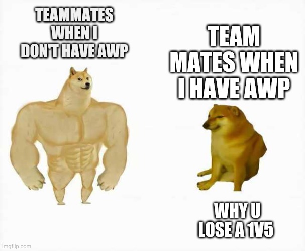 Csgo teammates when I buy awp | TEAM MATES WHEN I HAVE AWP; TEAMMATES WHEN I DON'T HAVE AWP; WHY U LOSE A 1V5 | image tagged in strong dog vs weak dog | made w/ Imgflip meme maker