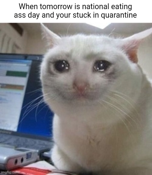 Crying cat | When tomorrow is national eating ass day and your stuck in quarantine | image tagged in crying cat | made w/ Imgflip meme maker