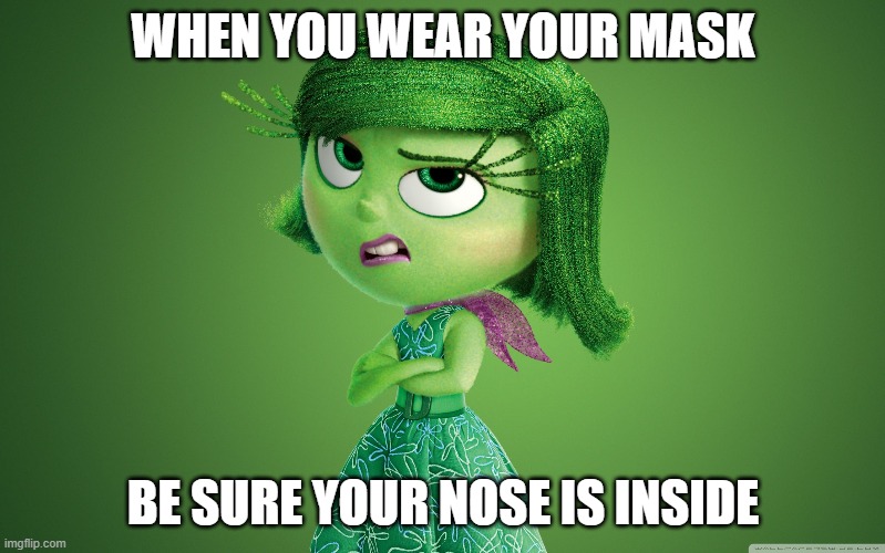 Inside Out Disgust | WHEN YOU WEAR YOUR MASK; BE SURE YOUR NOSE IS INSIDE | image tagged in inside out disgust | made w/ Imgflip meme maker