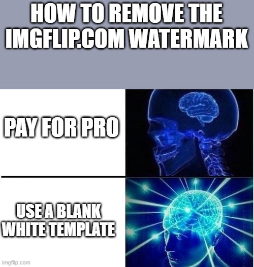 Didn't realize it would turn gray | HOW TO REMOVE THE IMGFLIP.COM WATERMARK; PAY FOR PRO; USE A BLANK WHITE TEMPLATE | image tagged in expanding brain two frames,memes,yeah this is big brain time | made w/ Imgflip meme maker