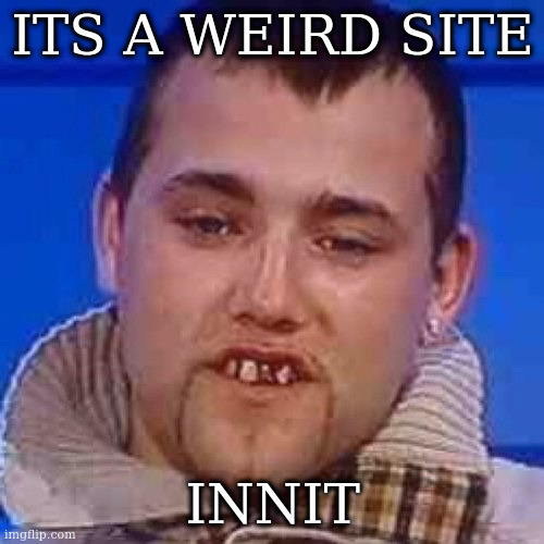 imgflip | ITS A WEIRD SITE; INNIT | image tagged in innit | made w/ Imgflip meme maker