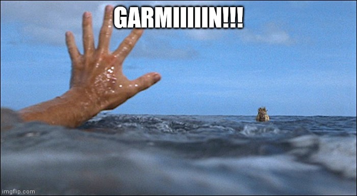 Garmin Connect outage | GARMIIIIIN!!! | image tagged in funny,sports | made w/ Imgflip meme maker