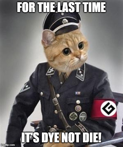 Grammar Nazi Cat | FOR THE LAST TIME; IT'S DYE NOT DIE! | image tagged in grammar nazi cat | made w/ Imgflip meme maker