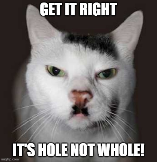 Nazi Cat | GET IT RIGHT; IT'S HOLE NOT WHOLE! | image tagged in nazi cat,grammar nazi,bad grammar and spelling memes,grammar nazi cat,spelling error,funny cats | made w/ Imgflip meme maker