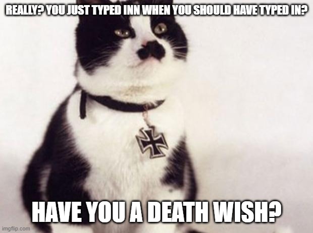 Nazi cat | REALLY? YOU JUST TYPED INN WHEN YOU SHOULD HAVE TYPED IN? HAVE YOU A DEATH WISH? | image tagged in nazi cat,grammar nazi,funny cat memes,bad grammar and spelling memes,cat memes,spelling error | made w/ Imgflip meme maker