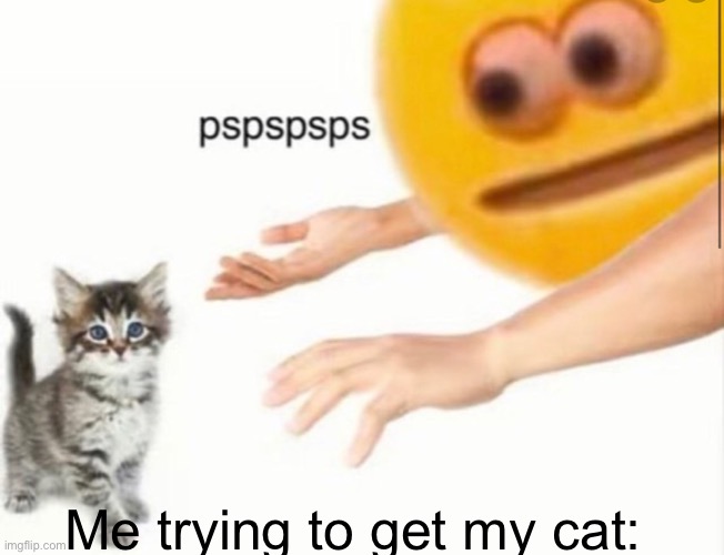 CMRE | Me trying to get my cat: | image tagged in cat,eeee | made w/ Imgflip meme maker