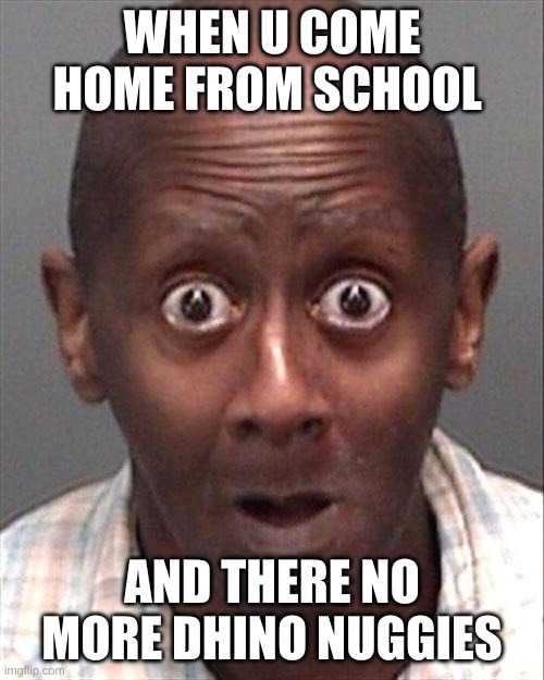 Funny Face | WHEN U COME HOME FROM SCHOOL; AND THERE NO MORE DHINO NUGGIES | image tagged in funny face | made w/ Imgflip meme maker