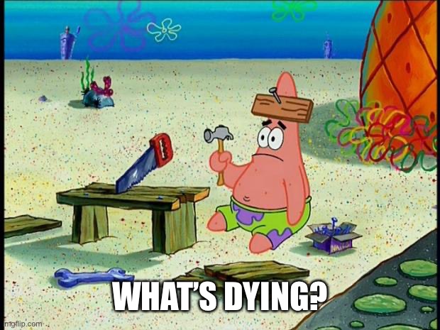 Patrick  | WHAT’S DYING? | image tagged in patrick | made w/ Imgflip meme maker