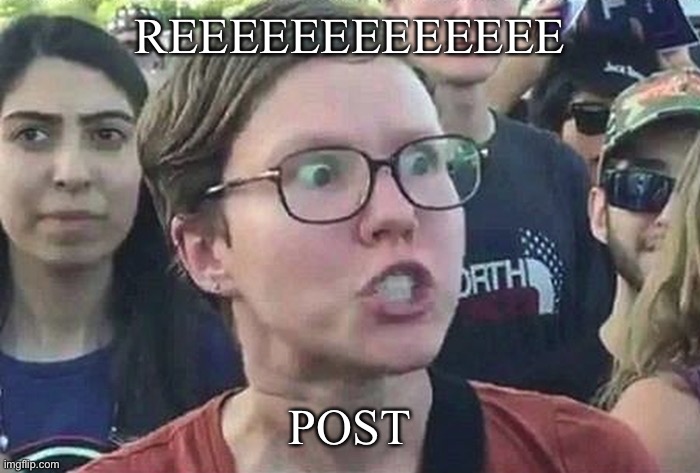 Triggered Liberal | REEEEEEEEEEEEE POST | image tagged in triggered liberal | made w/ Imgflip meme maker