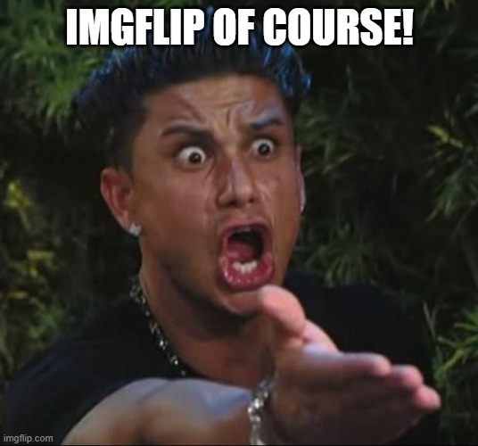 DJ Pauly D Meme | IMGFLIP OF COURSE! | image tagged in memes,dj pauly d | made w/ Imgflip meme maker