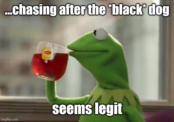 seems legit | ...chasing after the *black* dog seems legit | image tagged in seems legit | made w/ Imgflip meme maker