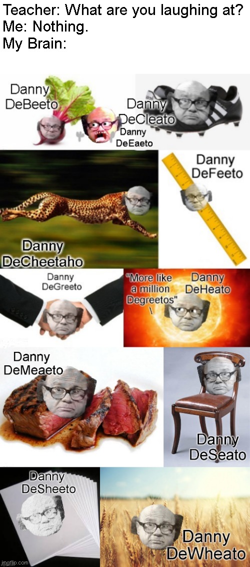 Danny DeVitos Everywhere | Teacher: What are you laughing at?
Me: Nothing.
My Brain: | image tagged in memes,funny,puns,danny devito | made w/ Imgflip meme maker