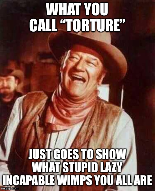 laughing | WHAT YOU CALL “TORTURE”; JUST GOES TO SHOW WHAT STUPID LAZY INCAPABLE WIMPS YOU ALL ARE | image tagged in laughing | made w/ Imgflip meme maker