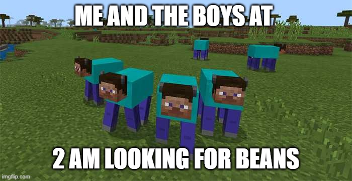 ME AND THE BOYS AT 2 AM LOOKING FOR BEANS | image tagged in me and the boys | made w/ Imgflip meme maker