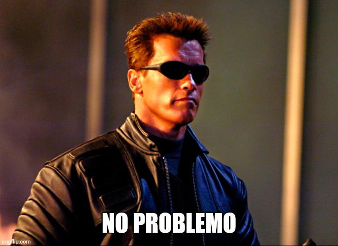 No Problemo! | NO PROBLEMO | image tagged in no problemo | made w/ Imgflip meme maker