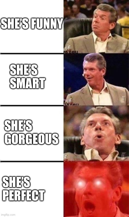 Vince McMahon Reaction w/Glowing Eyes | SHE’S FUNNY; SHE’S SMART; SHE’S GORGEOUS; SHE’S PERFECT | image tagged in vince mcmahon reaction w/glowing eyes | made w/ Imgflip meme maker