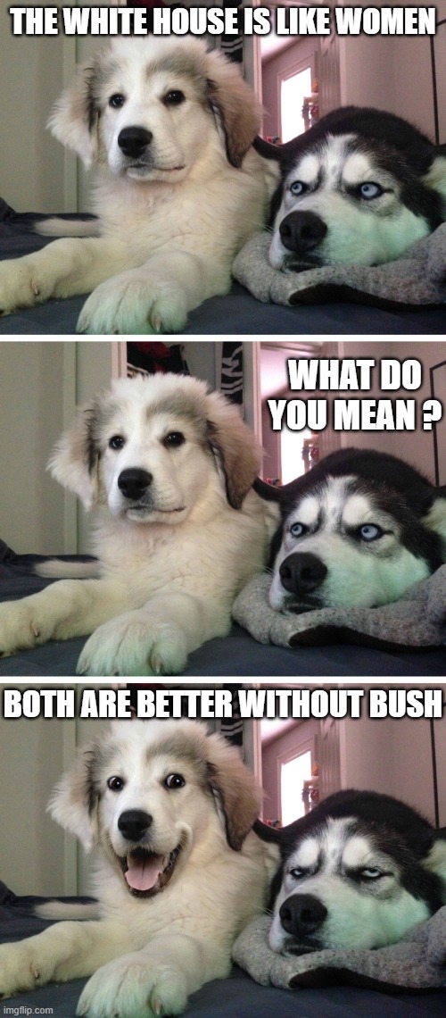 Only Trump is worst than Bush | THE WHITE HOUSE IS LIKE WOMEN; WHAT DO YOU MEAN ? BOTH ARE BETTER WITHOUT BUSH | image tagged in bad pun dogs,women,american politics,white house,bush,dirty joke | made w/ Imgflip meme maker