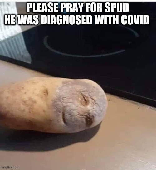 Spud-19 | PLEASE PRAY FOR SPUD HE WAS DIAGNOSED WITH COVID | image tagged in potato,sick,covid-19,prayers | made w/ Imgflip meme maker