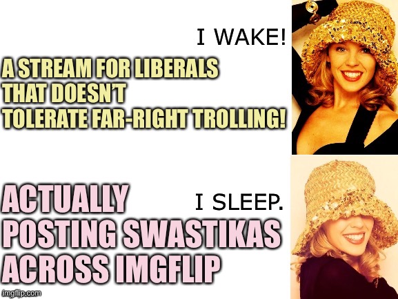 Kylie I wake/I sleep | A STREAM FOR LIBERALS THAT DOESN’T TOLERATE FAR-RIGHT TROLLING! ACTUALLY POSTING SWASTIKAS ACROSS IMGFLIP | image tagged in kylie i wake/i sleep | made w/ Imgflip meme maker