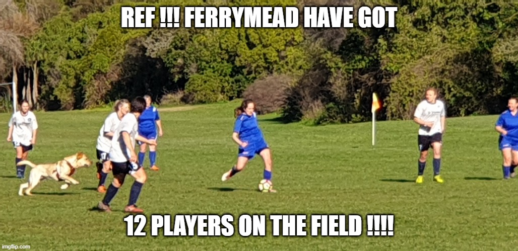 REF !!! FERRYMEAD HAVE GOT; 12 PLAYERS ON THE FIELD !!!! | made w/ Imgflip meme maker