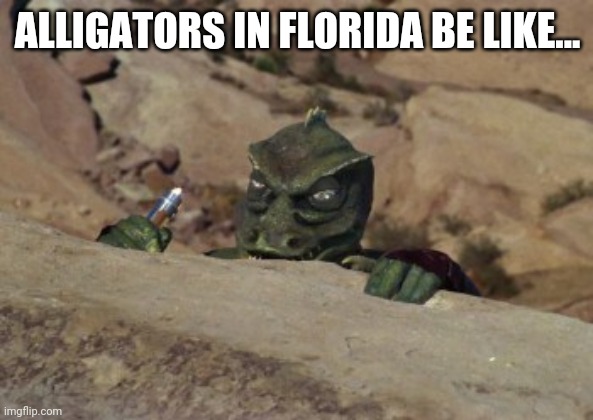  ALLIGATORS IN FLORIDA BE LIKE... | image tagged in the gorn lays in wait star trek,florida,meanwhile in florida,alligator | made w/ Imgflip meme maker