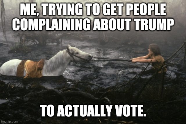 Failed Voter Mobilization | ME, TRYING TO GET PEOPLE COMPLAINING ABOUT TRUMP; TO ACTUALLY VOTE. | image tagged in swamp of sadness,voting,complainers | made w/ Imgflip meme maker