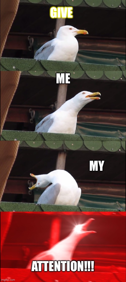 Attentin | GIVE; ME; MY; ATTENTION!!! | image tagged in memes,inhaling seagull | made w/ Imgflip meme maker