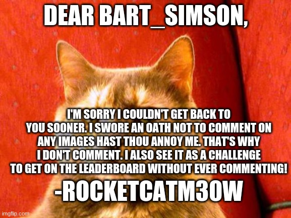 Thanks for understanding, Bart!   (´・ω・`) |  DEAR BART_SIMSON, I'M SORRY I COULDN'T GET BACK TO YOU SOONER. I SWORE AN OATH NOT TO COMMENT ON ANY IMAGES HAST THOU ANNOY ME. THAT'S WHY I DON'T COMMENT. I ALSO SEE IT AS A CHALLENGE TO GET ON THE LEADERBOARD WITHOUT EVER COMMENTING! -ROCKETCATM30W | image tagged in memes,suspicious cat | made w/ Imgflip meme maker