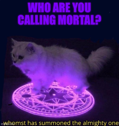 Who has summoned the almighty one | WHO ARE YOU CALLING MORTAL? | image tagged in who has summoned the almighty one | made w/ Imgflip meme maker