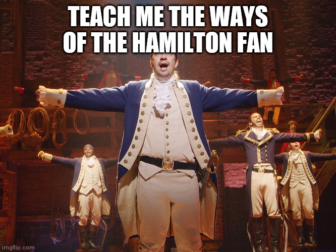 No srsly teach me | TEACH ME THE WAYS OF THE HAMILTON FAN | image tagged in hamilton | made w/ Imgflip meme maker