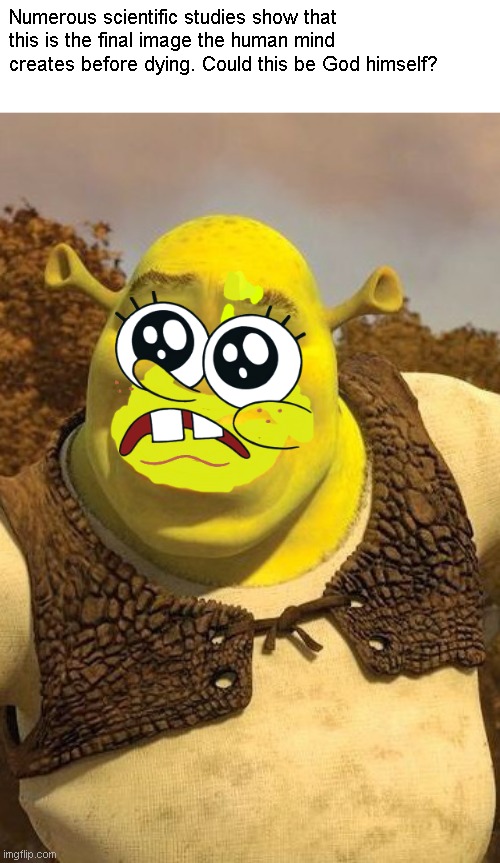 ShrekBob | Numerous scientific studies show that this is the final image the human mind creates before dying. Could this be God himself? | image tagged in smiling shrek,memes,spongebob,blessed | made w/ Imgflip meme maker