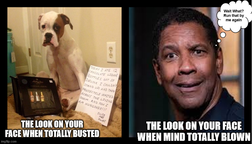 Run That by me again | THE LOOK ON YOUR FACE WHEN MIND TOTALLY BLOWN; THE LOOK ON YOUR FACE WHEN TOTALLY BUSTED | image tagged in denzel,the look on your face when,you're doing it wrong,doing the wrong things,totally busted | made w/ Imgflip meme maker