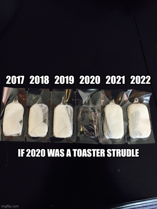 2020 | 2017   2018   2019   2020   2021   2022; IF 2020 WAS A TOASTER STRUDLE | image tagged in 2020,year,bad,sucks | made w/ Imgflip meme maker