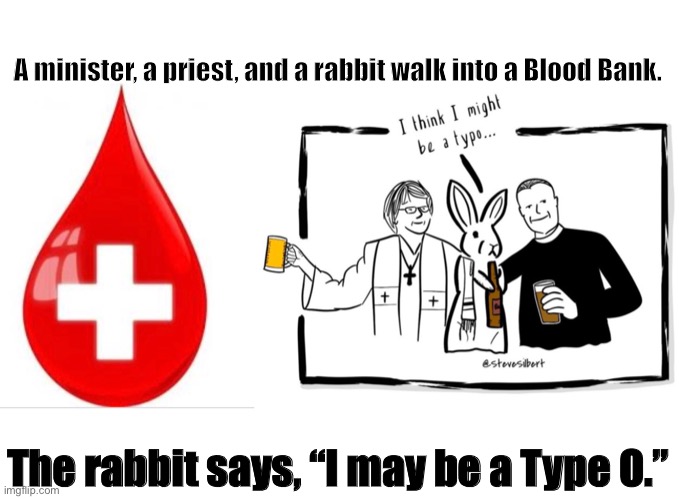 Pun | A minister, a priest, and a rabbit walk into a Blood Bank. The rabbit says, “I may be a Type O.” | image tagged in rabbit | made w/ Imgflip meme maker