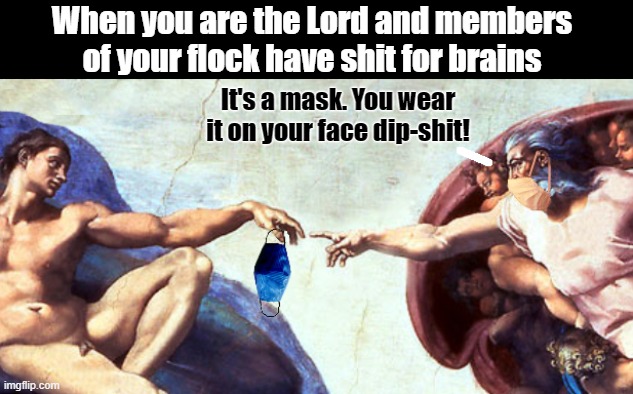 And on the 8th day God did exclaim;;; | When you are the Lord and members of your flock have shit for brains; It's a mask. You wear it on your face dip-shit! | image tagged in covid-19,face mask,special kind of stupid,political correctness | made w/ Imgflip meme maker