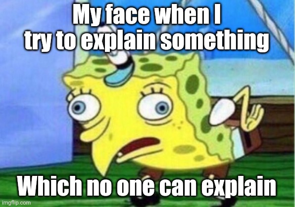 Mocking Spongebob Meme | My face when I try to explain something; Which no one can explain | image tagged in memes,mocking spongebob | made w/ Imgflip meme maker