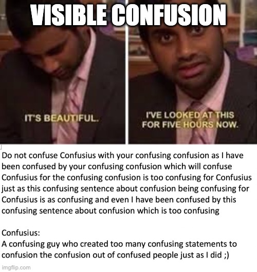 hahaha confusing confusion go brrrrrr | VISIBLE CONFUSION | image tagged in confused confusing confusion | made w/ Imgflip meme maker