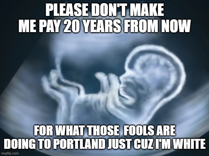 Repre what? | PLEASE DON'T MAKE ME PAY 20 YEARS FROM NOW; FOR WHAT THOSE  FOOLS ARE DOING TO PORTLAND JUST CUZ I'M WHITE | image tagged in ultrasound,slavery | made w/ Imgflip meme maker