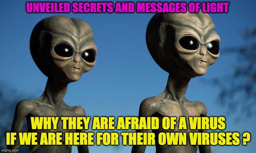 CORONA VIRUS | UNVEILED SECRETS AND MESSAGES OF LIGHT; WHY THEY ARE AFRAID OF A VIRUS IF WE ARE HERE FOR THEIR OWN VIRUSES ? | image tagged in corona virus | made w/ Imgflip meme maker