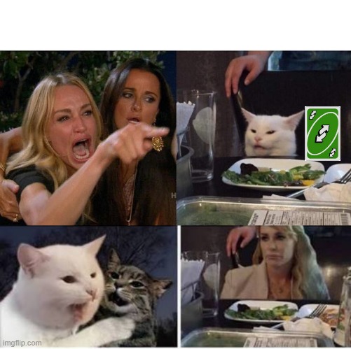 REVERSED | image tagged in memes,woman yelling at cat,cat yelling at woman | made w/ Imgflip meme maker