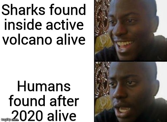 Sharks found inside active volcano alive; Humans found after 2020 alive | image tagged in blank white template,disappointed black guy | made w/ Imgflip meme maker